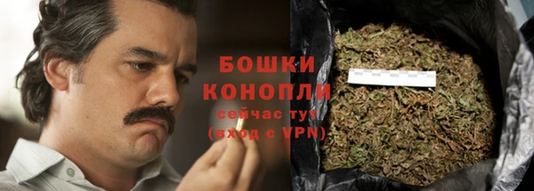 индика Белоозёрский