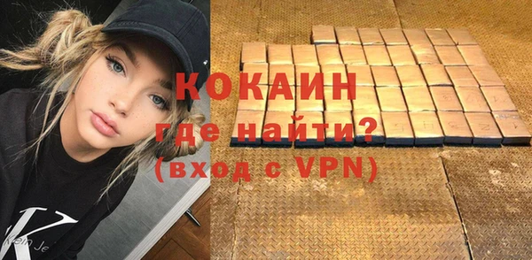 эйфоретик Няндома