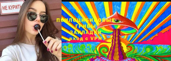 прущий лед Белокуриха
