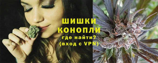 индика Белоозёрский