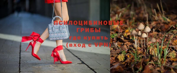 прущий лед Белокуриха