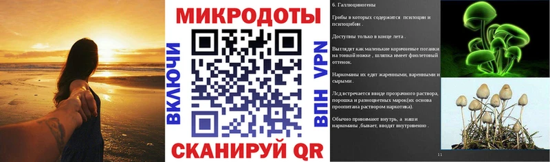 блэк спрут рабочий сайт  Славгород  Галлюциногенные грибы MAGIC MUSHROOMS 