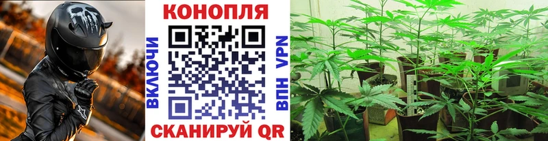 купить наркотики сайты Славгород Конопля планчик